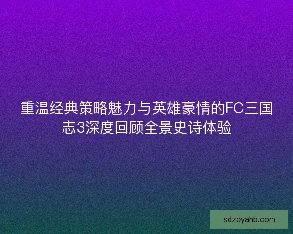 重温经典策略魅力与英雄豪情的FC三国志3深度回顾全景史诗体验
