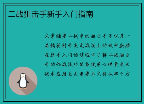 二战狙击手新手入门指南